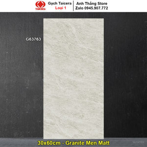 Gạch Taicera 30×60 G63763