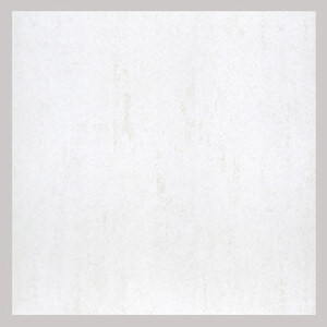 Gạch Taicera 40×40 G48925ND