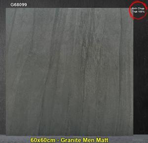 Gạch Taicera 600×600 G68099