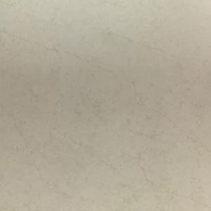 Gạch Taicera 60×60 G68915S