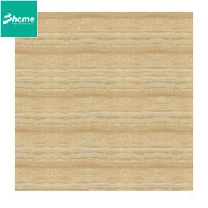 Gạch Taicera 60×60 P67216N