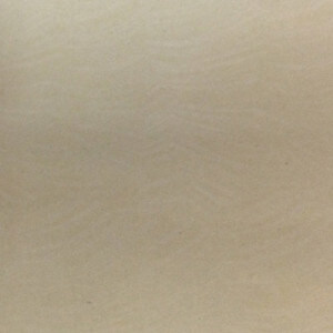 Gạch Taicera 60×60 P67403N