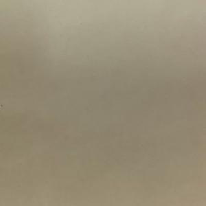 Gạch Taicera 60×60 P67434N