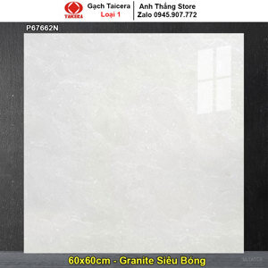 Gạch Taicera 60×60 P67662N