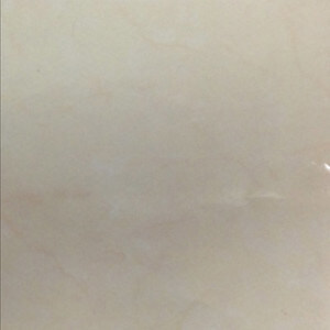 Gạch Taicera 60×60 P87594N