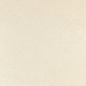 Gạch Taicera 60x60 P6060URBE