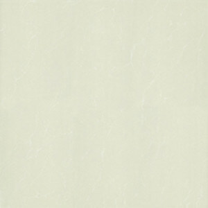 Gạch Taicera 60x60 P67763N1