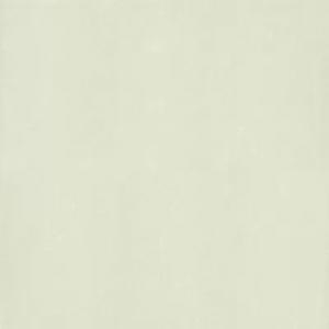 Gạch Taicera 60x60 P67763N1