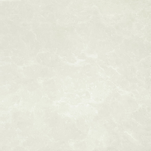 Gạch Taicera 800×800 P87663N