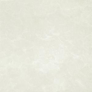 Gạch Taicera 800×800 P87663N
