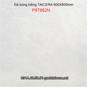 Gạch Taicera 80×80 P87662N