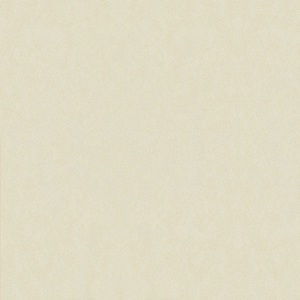 Gạch Taicera 80x80 H88713