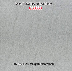 Gạch Taicera G38638