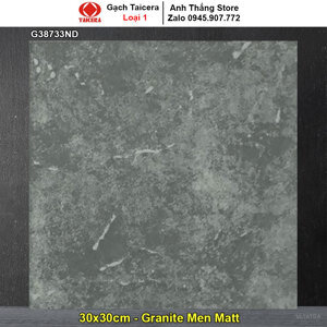 Gạch Taicera G38733ND