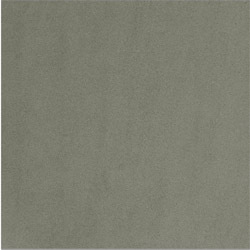 Gạch Taicera G38928ND (30×30)