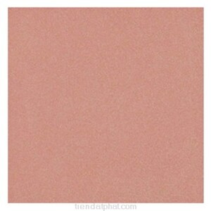 Gạch Taicera G49033 (40×40)