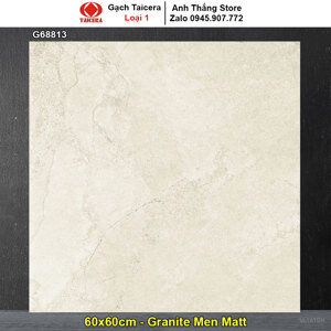 Gạch Taicera G68813