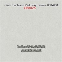 Gạch Taicera granite 60x60 G68025