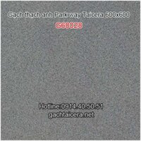 Gạch Taicera granite 60x60 G68028