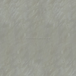 Gạch Taicera - P67048N (60x60)