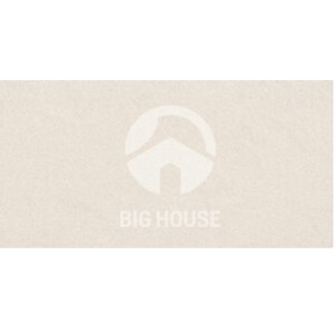 Gạch Taicera PC600x298-542N