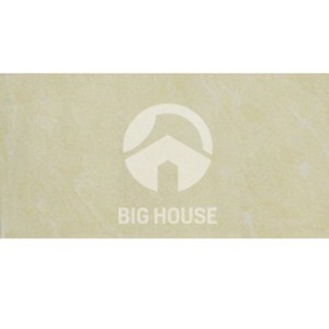 Gạch Taicera PC600x298-543N