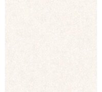 Gạch Tasa 60x60 TS 6002