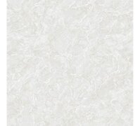 Gạch Tasa 60x60 TS 6022