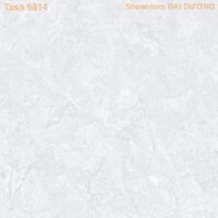 Gạch Tasa 6614