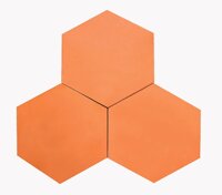 Gạch tàu Lục giác 20 Đồng Nai L14, 200 x 200 x 20 mm