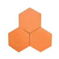 Gạch tàu lục giác CTS-NNN-3