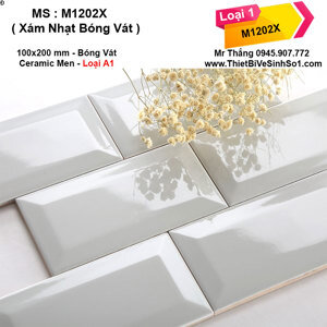 Gạch thẻ ốp tường M1202X