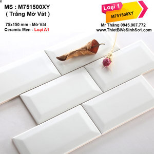 Gạch thẻ ốp tường M751500XY