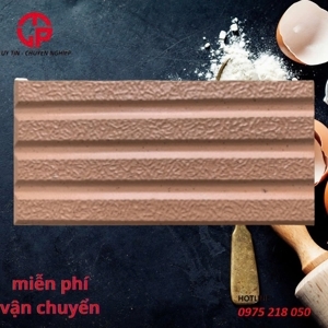 Gạch trang trí 10x20 2211