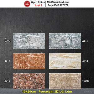 Gạch trang trí 10x20 4215