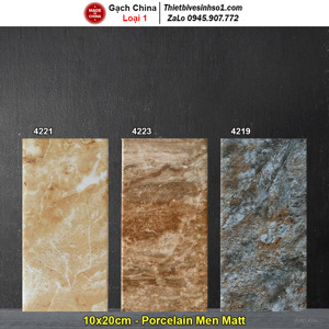 Gạch trang trí 10x20 4223