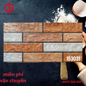 Gạch trang trí 15x30 153031