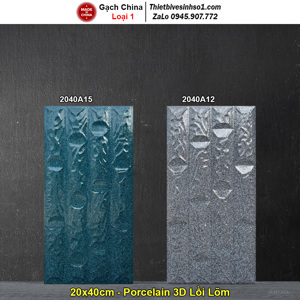 Gạch trang trí 20x40 2040A12