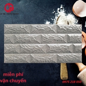 Gạch trang trí 20x40 2040A16
