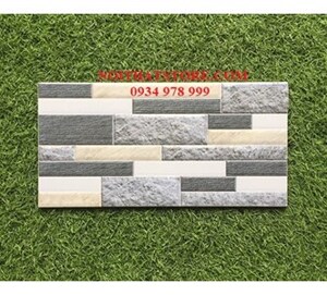 Gạch trang trí 20x40 ĐVT2442