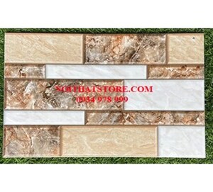Gạch trang trí 25x40 T74423N