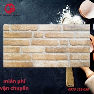 Gạch trang trí giá rẻ 20x40 20411