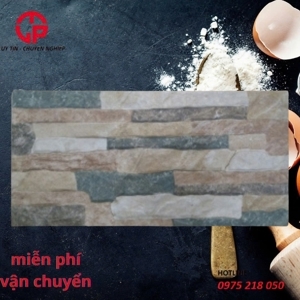 Gạch trang trí giá rẻ 20x40 20401