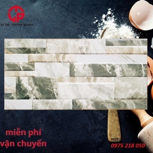 Gạch trang trí giá rẻ 20x40 20409