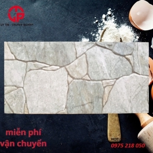 Gạch trang trí giá rẻ 20x40 20407