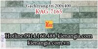 Gạch trang trí  giếng trời 20x40 KAG-7165