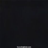 Gạch Trung Quốc 60x60cm đen trơn- 1 da