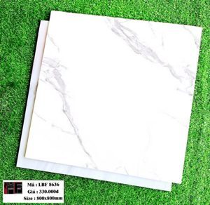 Gạch Trung Quốc 80x80 đồng chất LBF8636