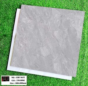 Gạch Trung Quốc 80x80 đồng chất LBF8632