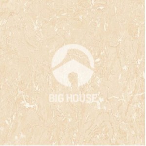 Gạch TTC 30×30 FN33026